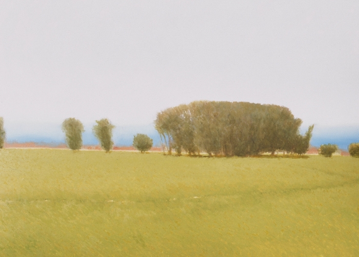 Stevensville Spring, Fine Oil Painting