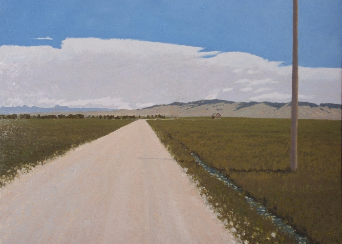 Skinner Meadows Road, Fine Oil Painting